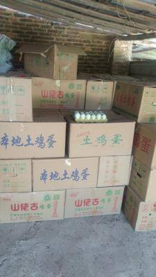 紙托綠殼青皮鴨蛋 優質食用農產品的批發優選
